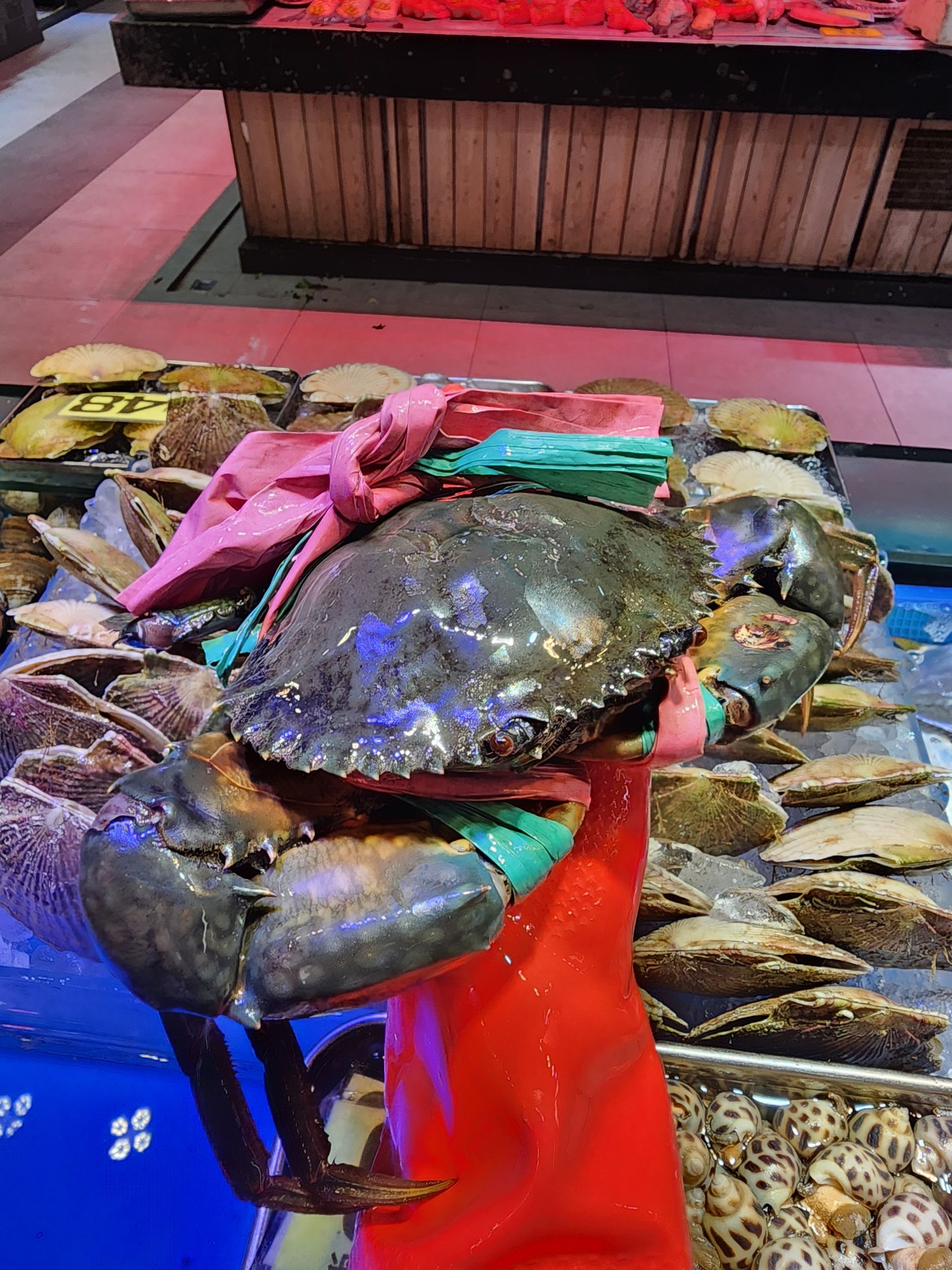 大Size‼️肉蟹🦀（隻）（約1斤-1斤2兩）_0