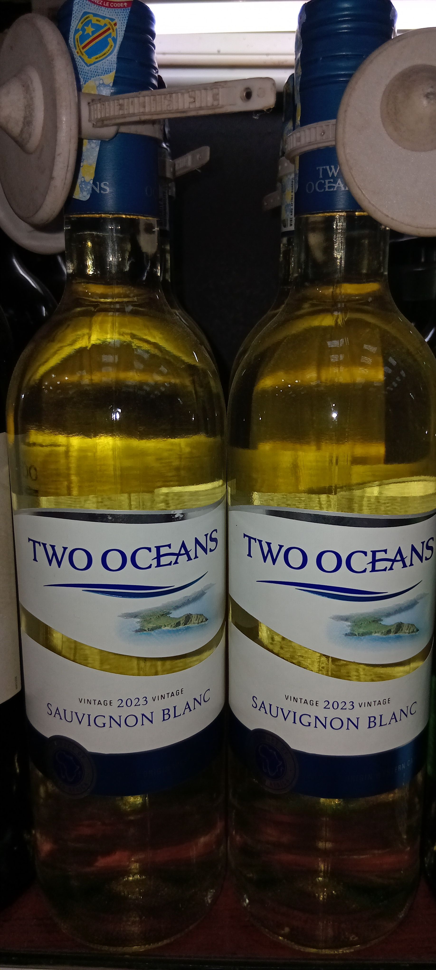 Two Oceans Sauvignon Blanc 750ml_0