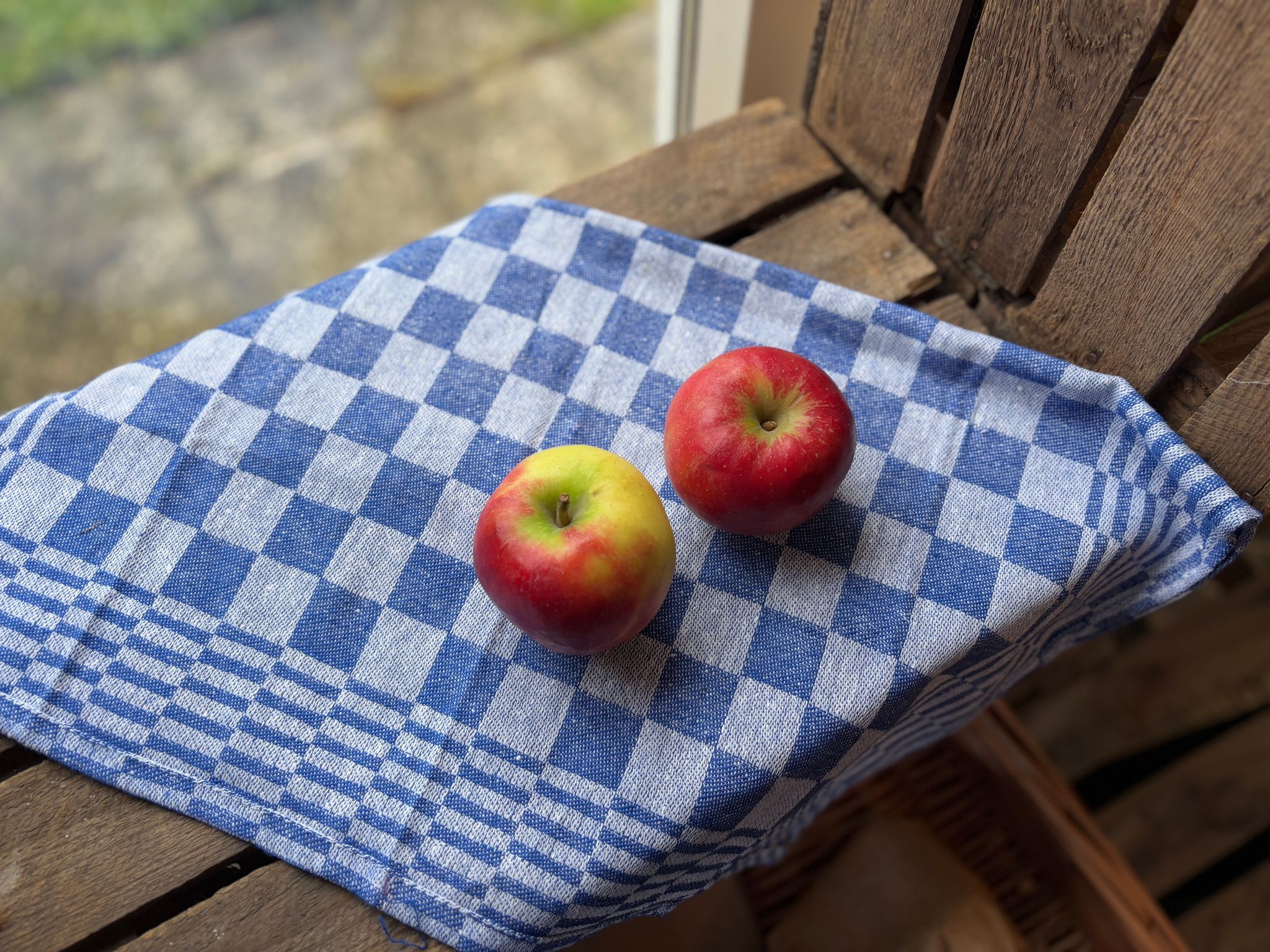 Elstar Appels_1