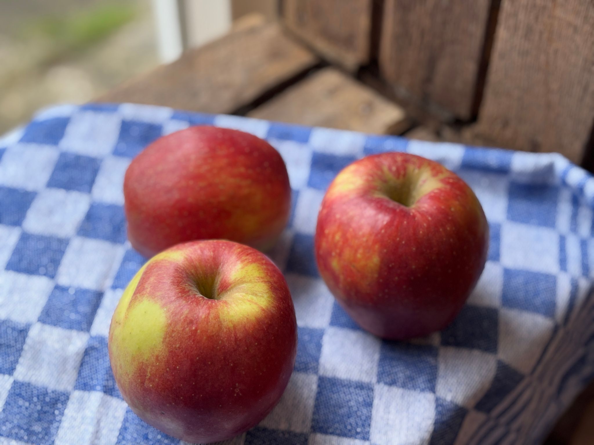 Elstar Appels_2