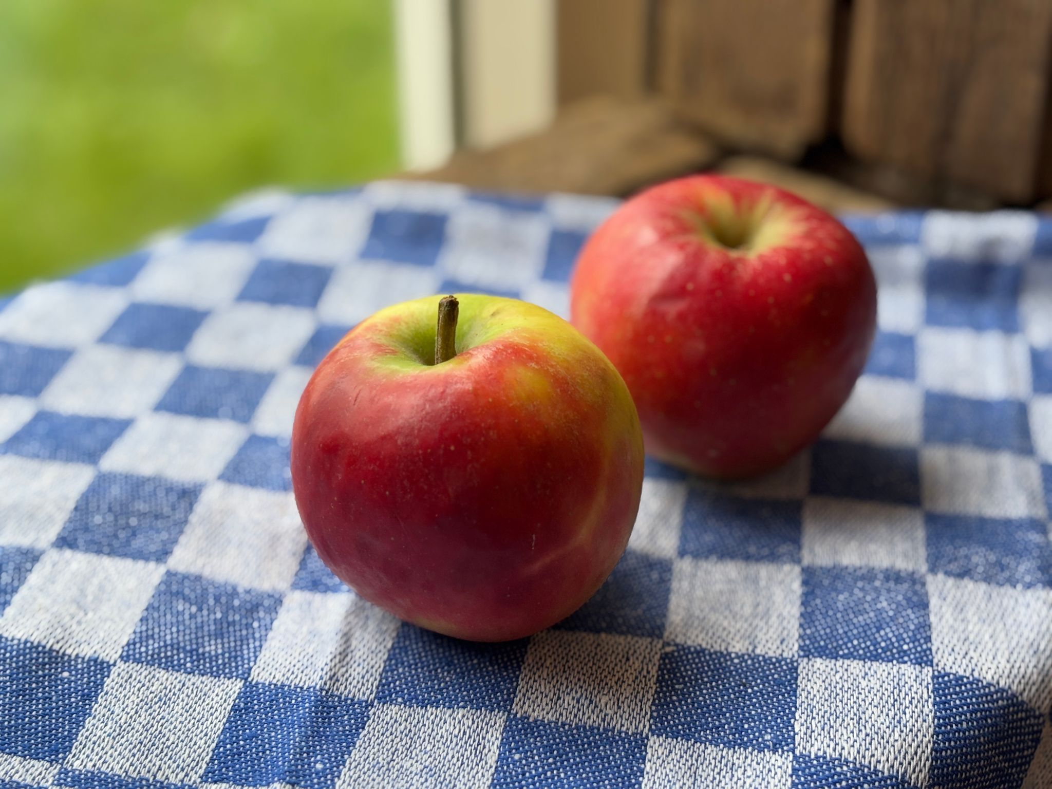 Elstar Appels_0