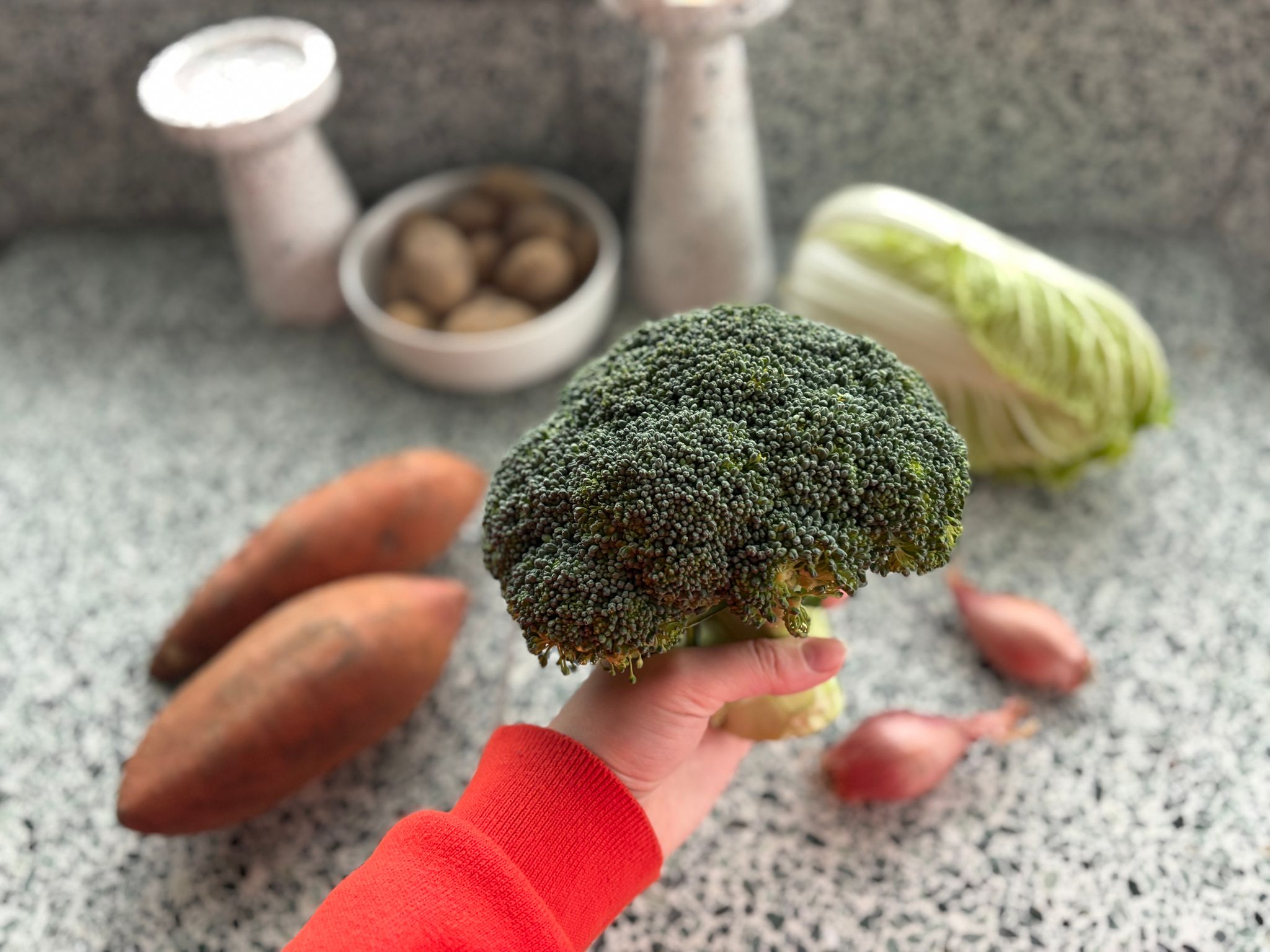 Broccoli Bio_2
