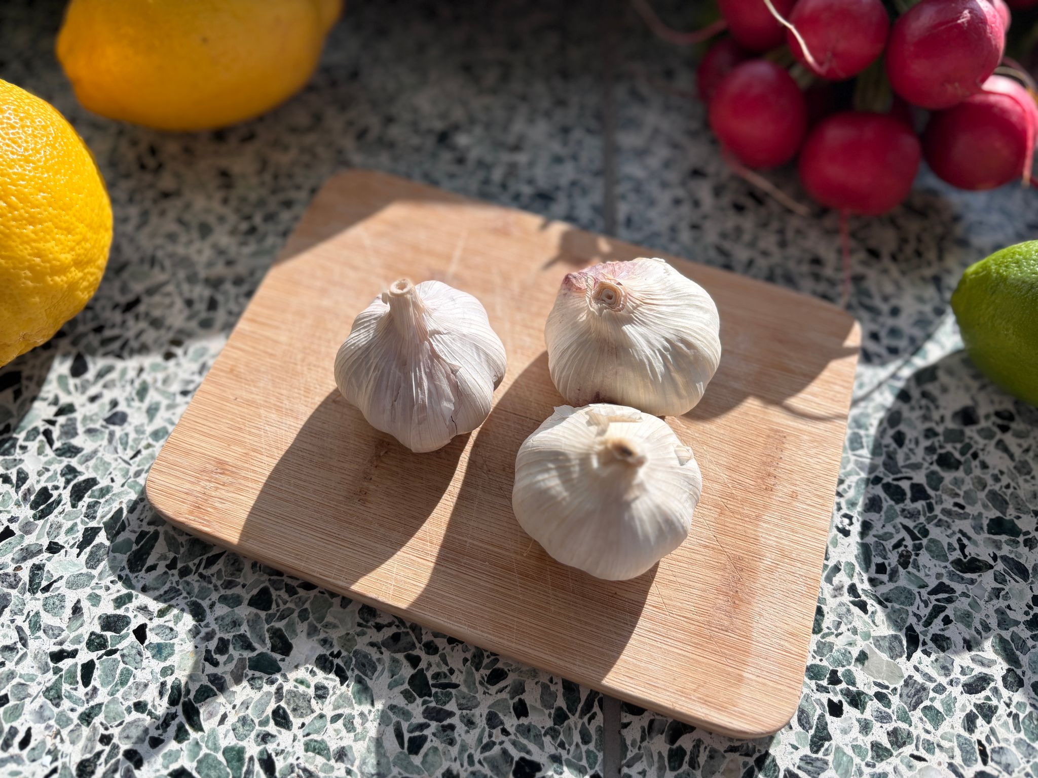Knoflook Bio_2