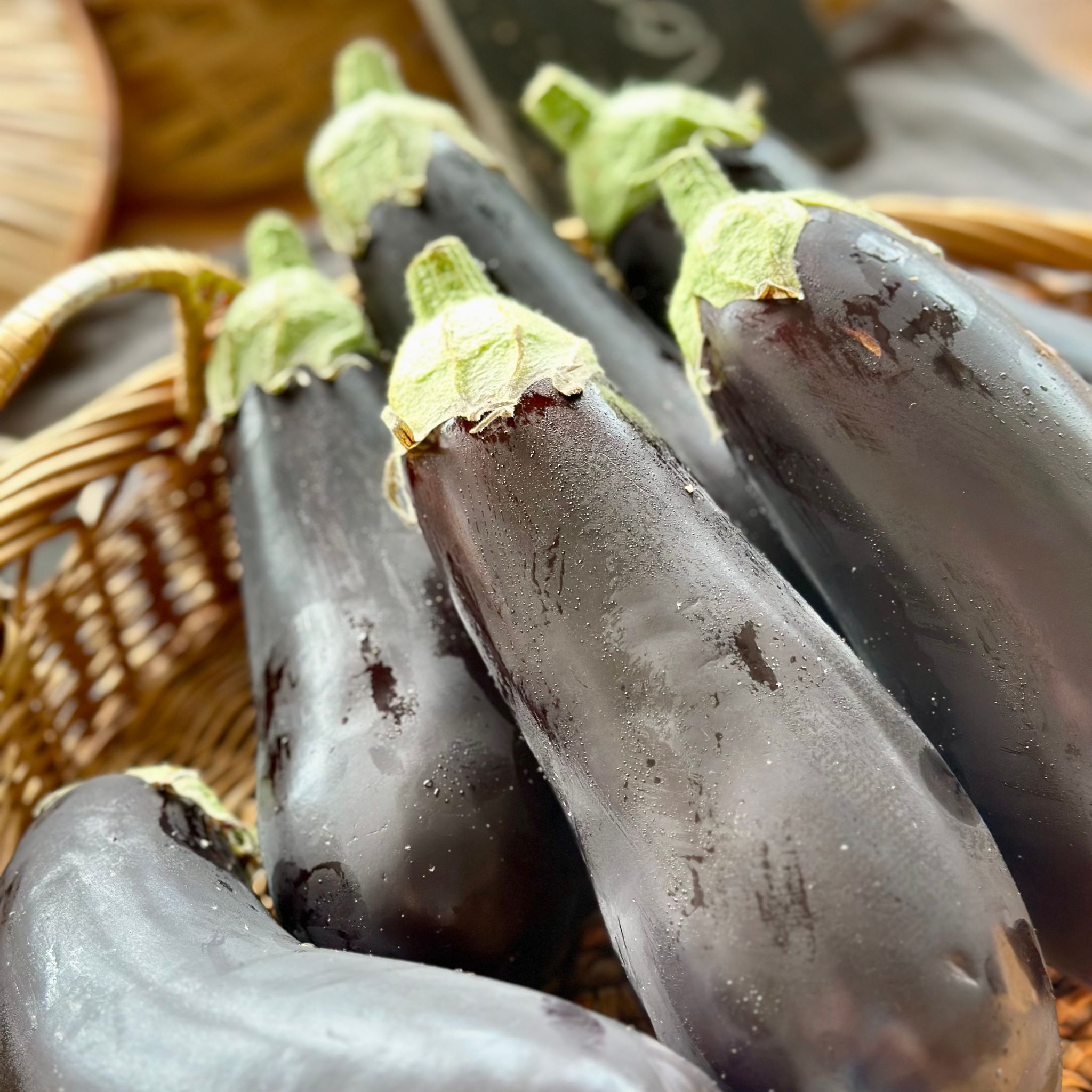 Aubergine Bio_1