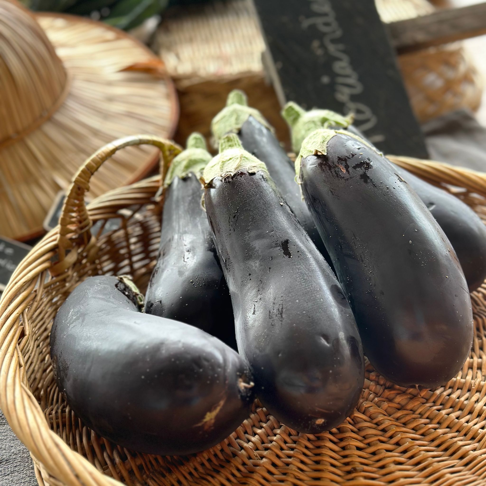 Aubergine Bio_0