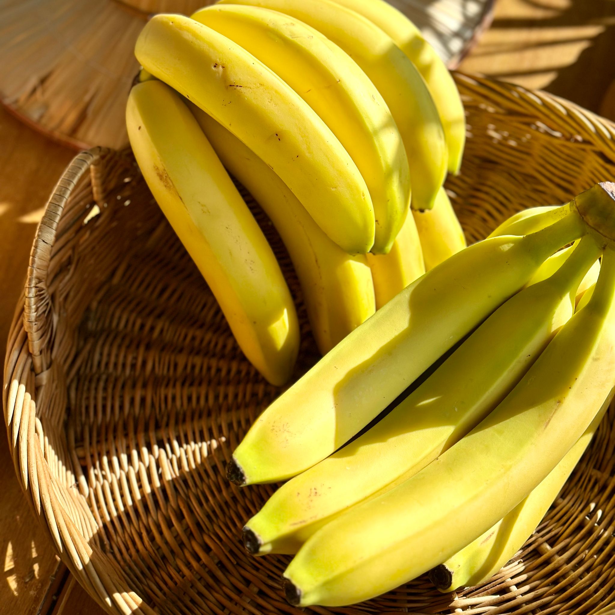 Banaan Bio_0