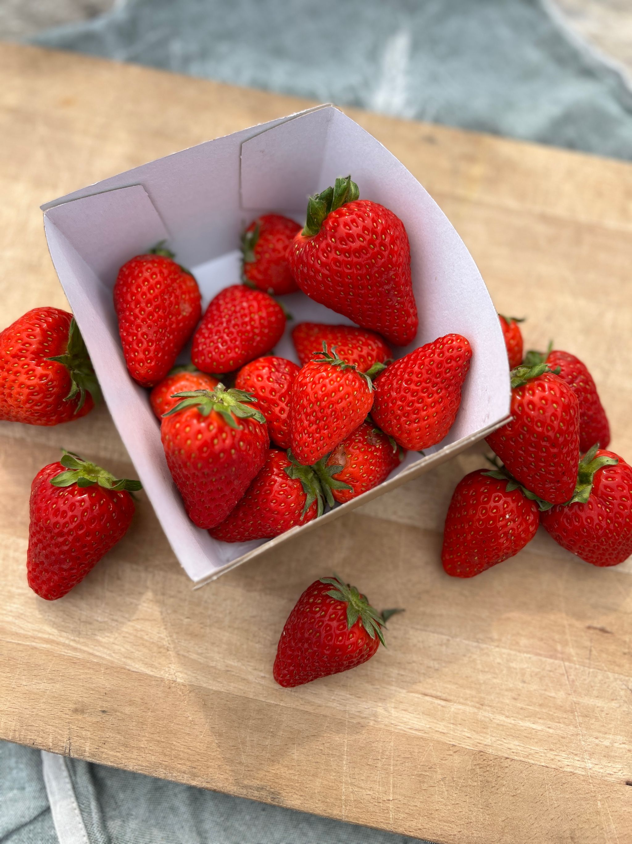 Aardbeien Bio_0