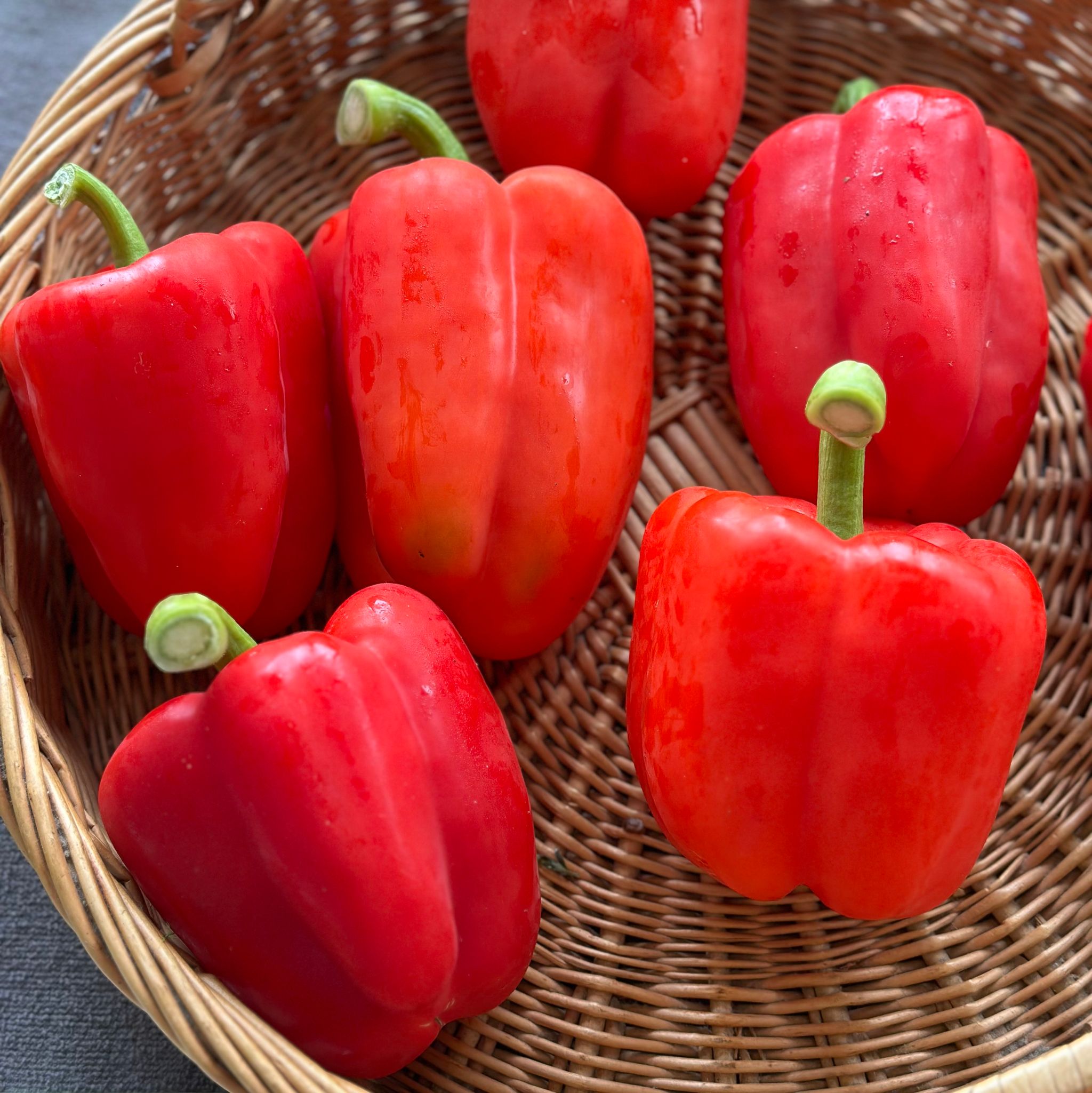 Paprika Rood Bio_1