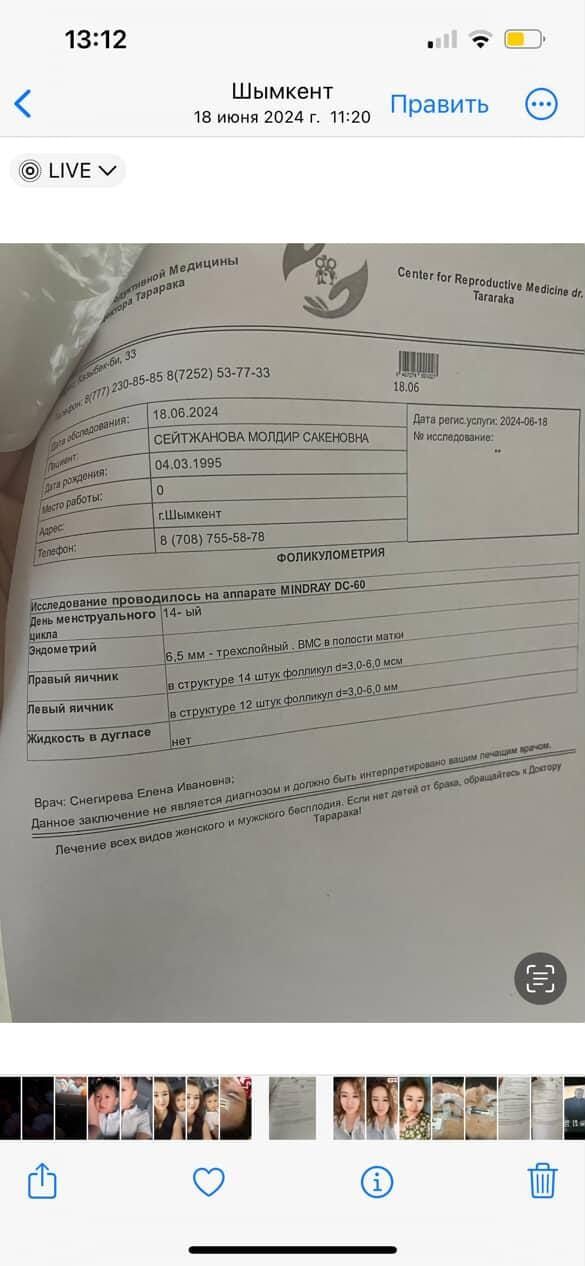 Kazakhstan Surrogacy & Egg Donor | Shymkent | 30 Yrs Old, Blood Type AB, 163cm, 63kg | ID #120012 |_14