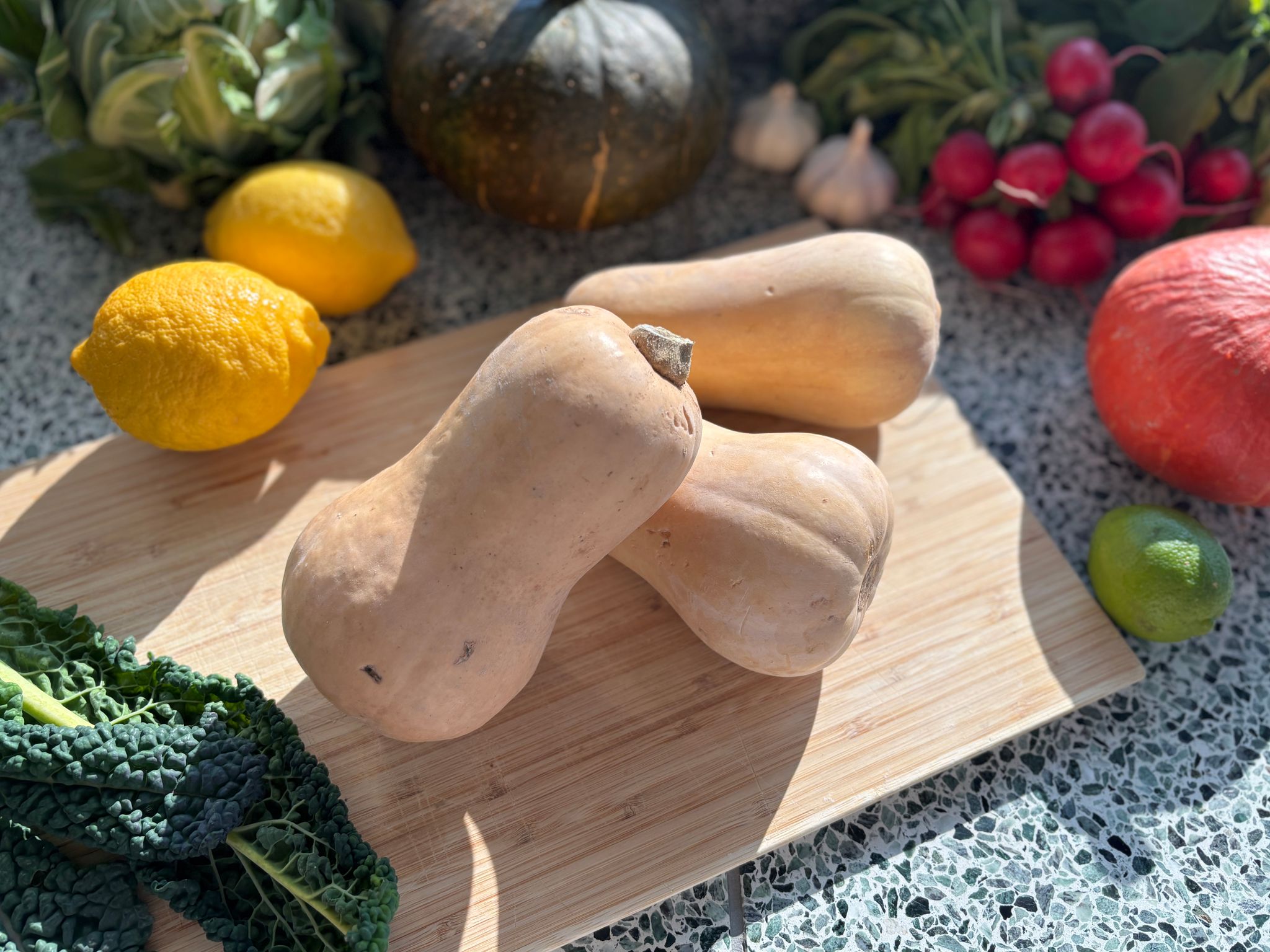 Flespompoen Butternut Bio_0