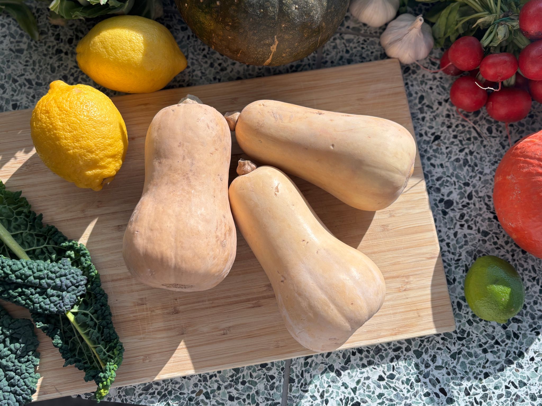 Flespompoen Butternut Bio_1