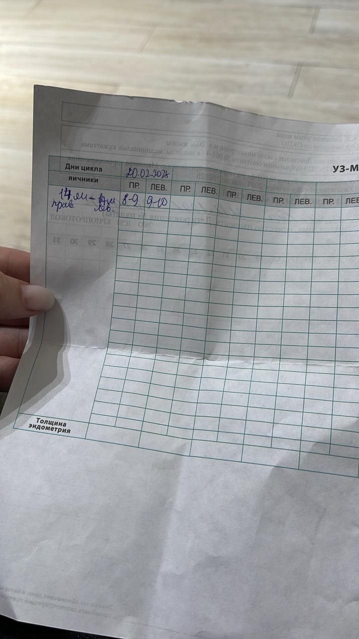 Kazakhstan Surrogacy & Egg Donor | 33 Yrs Old, Blood Type O, 165cm, 50kg | ID #120022 |_18