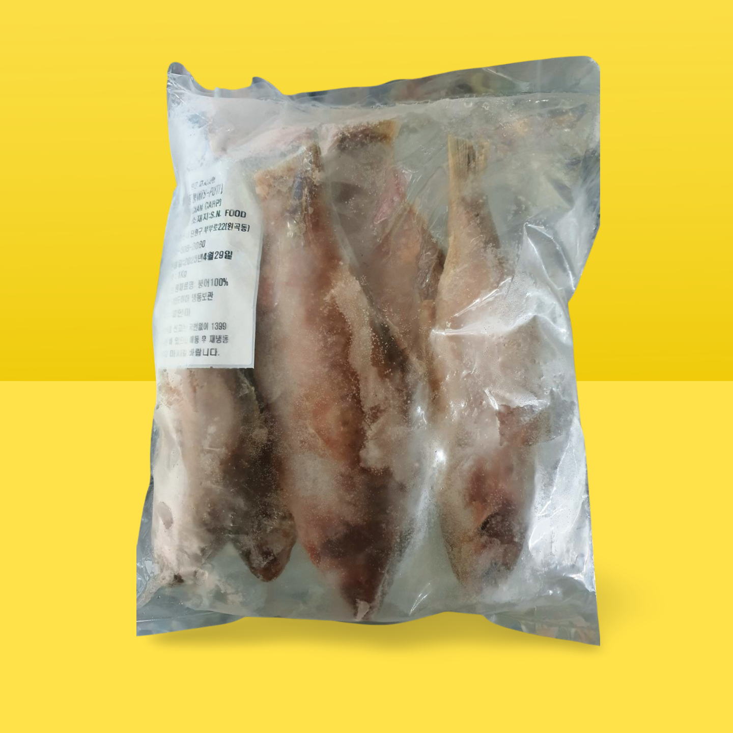 Puti Fish _0