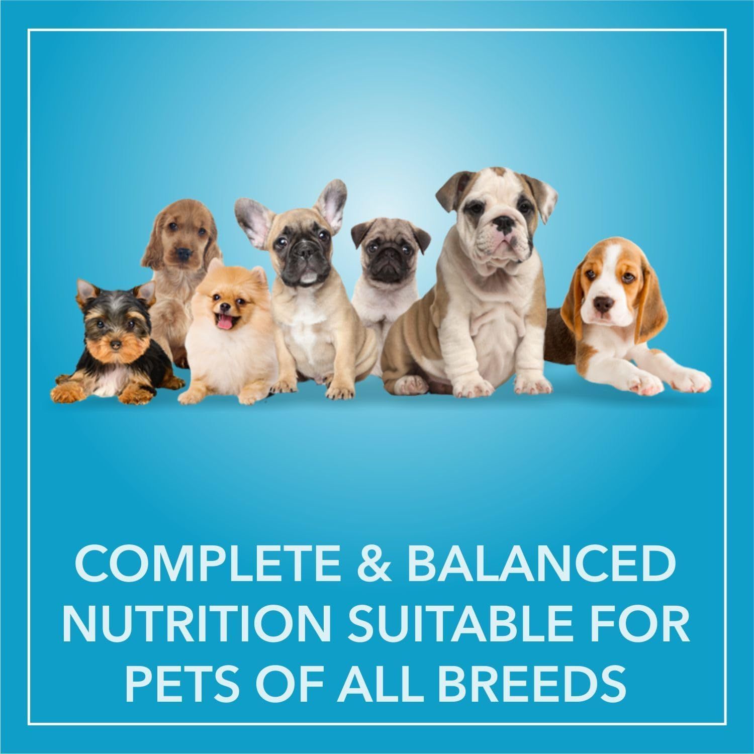 Purepet Adult Dog Dry Food Chicken and Vegetable 3kg_2