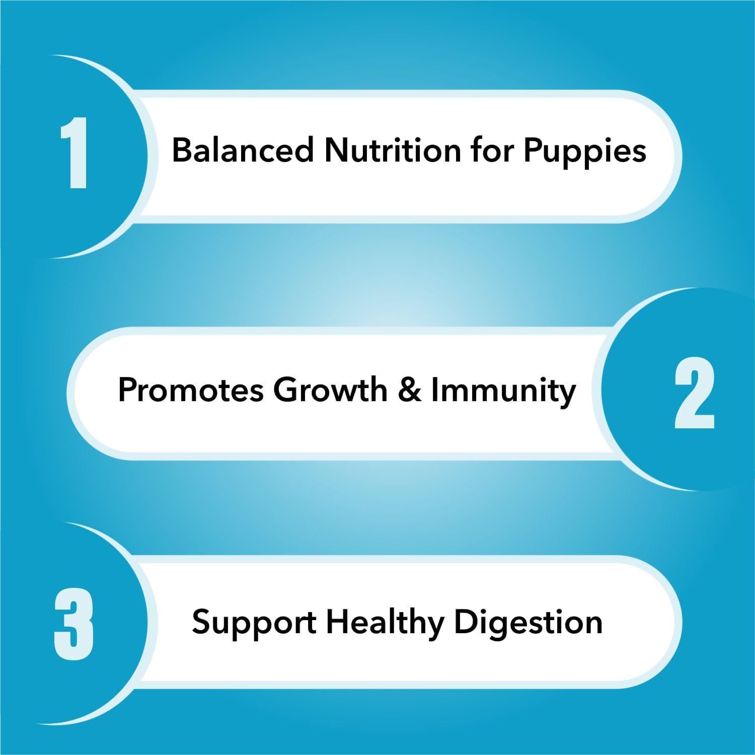 Purepet Adult Dog Dry Food Chicken and Vegetable 3kg_4