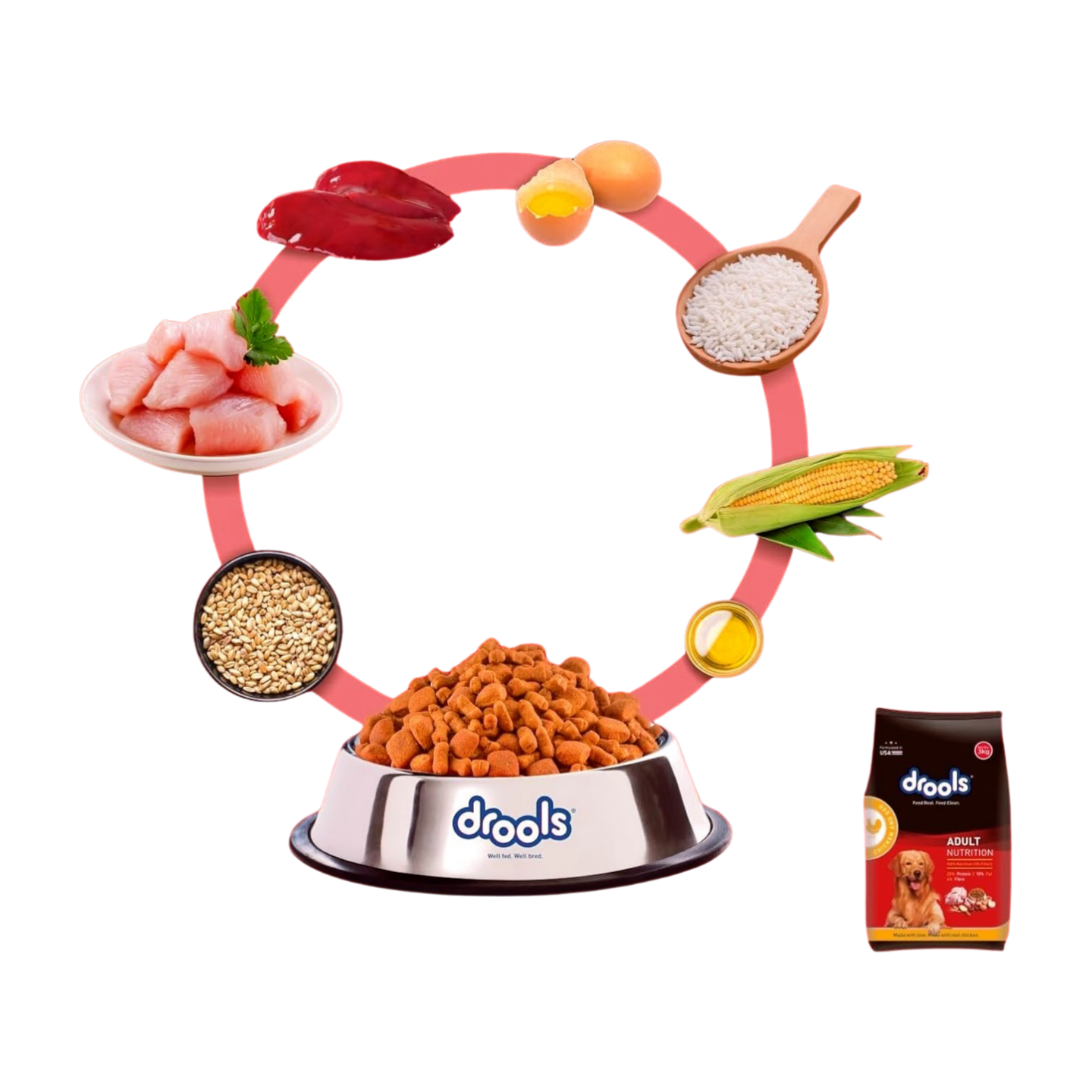 Drools Adult Dog Dry Food  Chicken and Egg 1.2kg_3