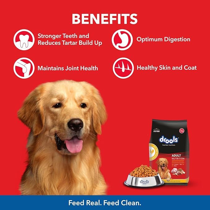 Drools Adult Dog Dry Food  Chicken and Egg 1.2kg_4
