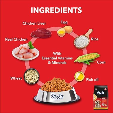 Drools Puppy Dry Food Chicken and Egg 400g_4