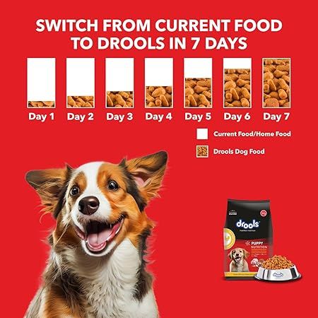 Drools Puppy Dry Food Chicken and Egg  1.2kg_2
