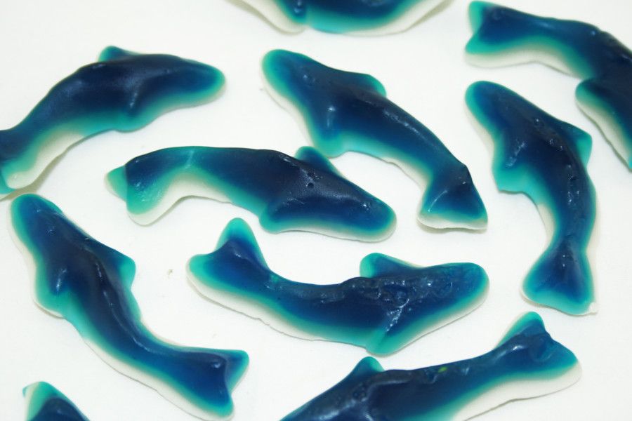 Creative Sweets King Jellies Blue Sharks (1KG)_1