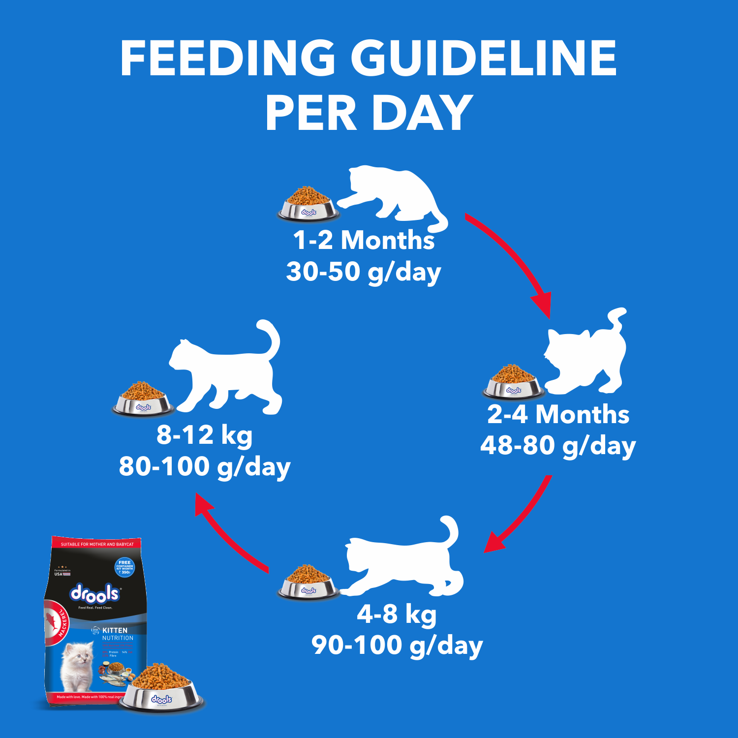 Drools Kitten & Mother Cats Mackerel 1kg + Free container_2
