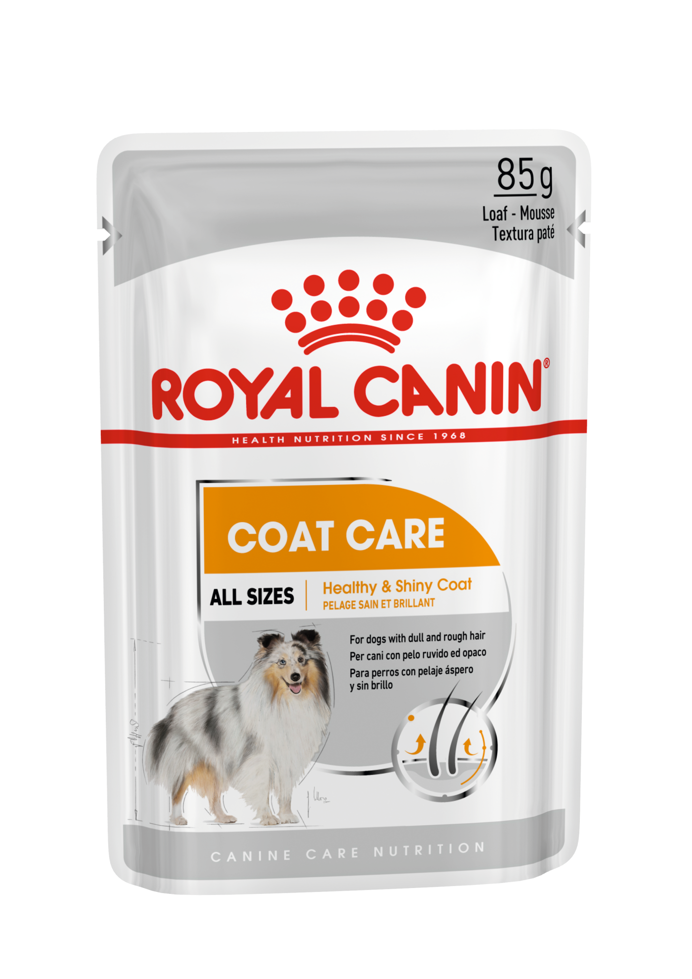 Royal Canin Canine Care Nutrition Coat Care (WET FOOD - Pouches)  85g_0