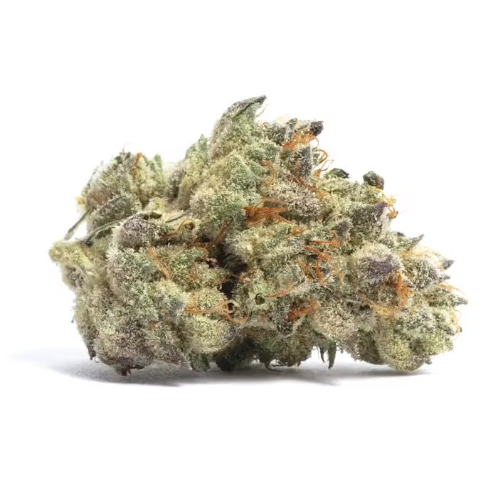 Indoor Flower_2