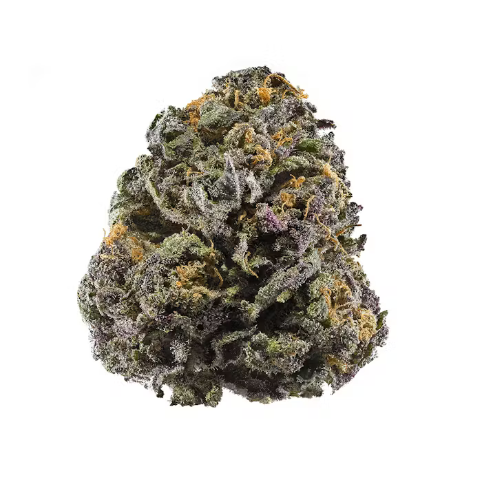 Indoor Flower_0
