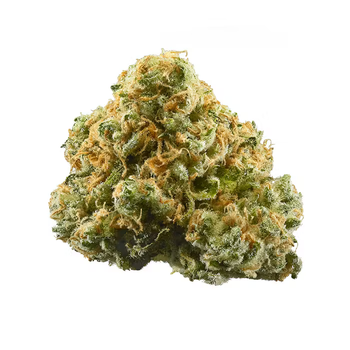 Indoor Flower_1