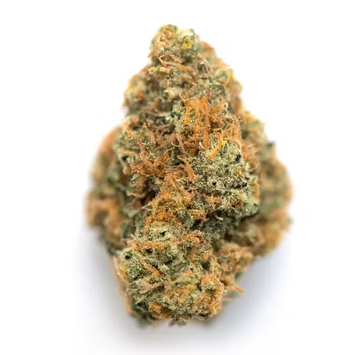 Greenhouse Flower_1