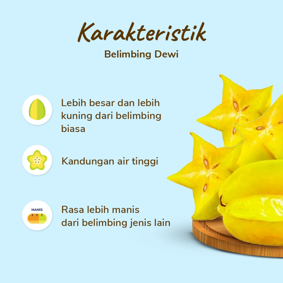 Belimbing Dewi 2-3 pcs 600-800 gram_1