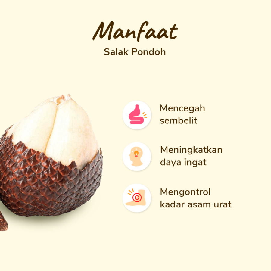 Salak Pondoh pack 10-14 pcs 1000-1100 gram_2