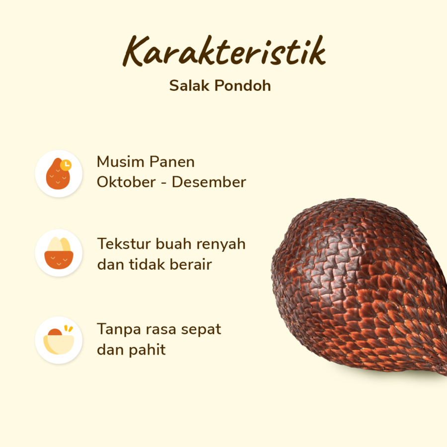Salak Pondoh pack 10-14 pcs 1000-1100 gram_1