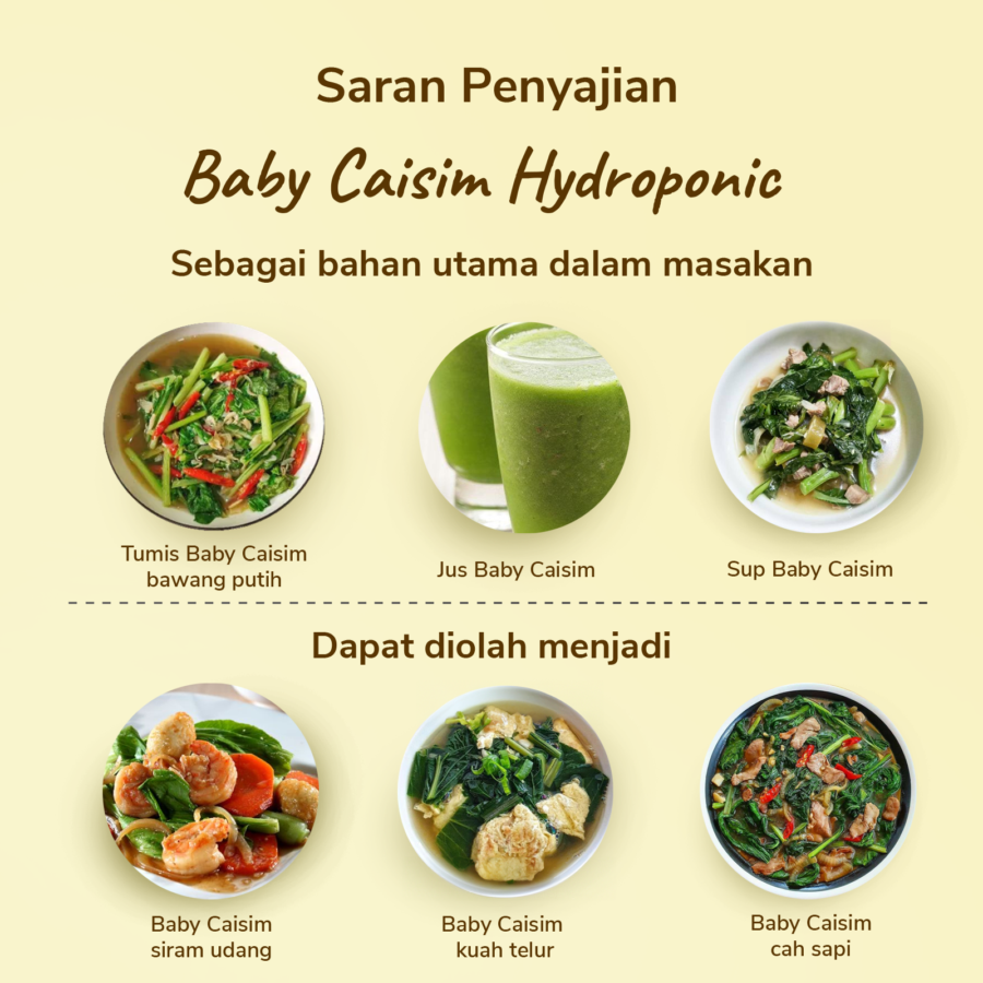 Baby Caisim Hydroponic 200gram_1
