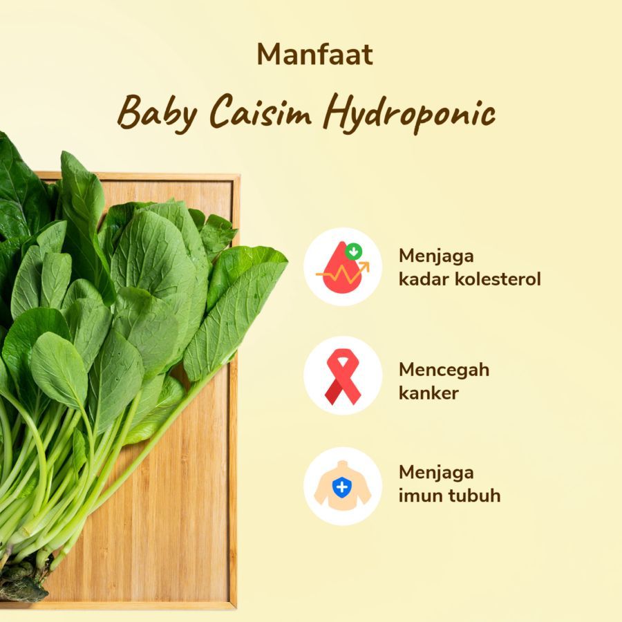 Baby Caisim Hydroponic 200gram_2