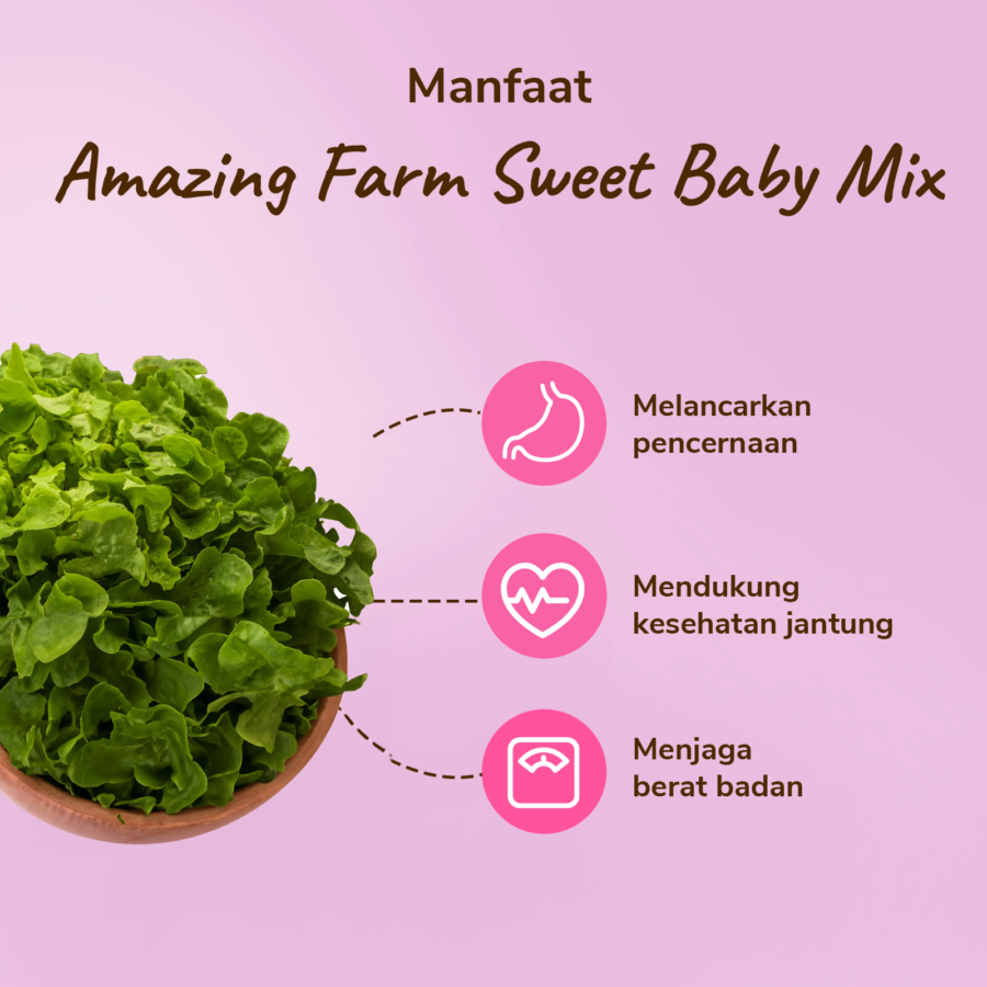 Amazing Farm Sweet Baby Mix Salad To Go 150gram_2