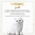 FANCYFST CLAS Kitten Chicken (85g)N_4