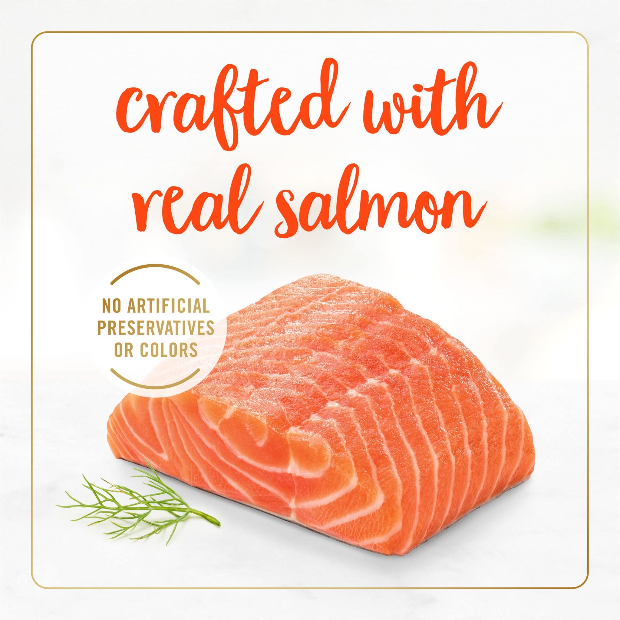 FANCYFST CLAS Salmon (85g)_1