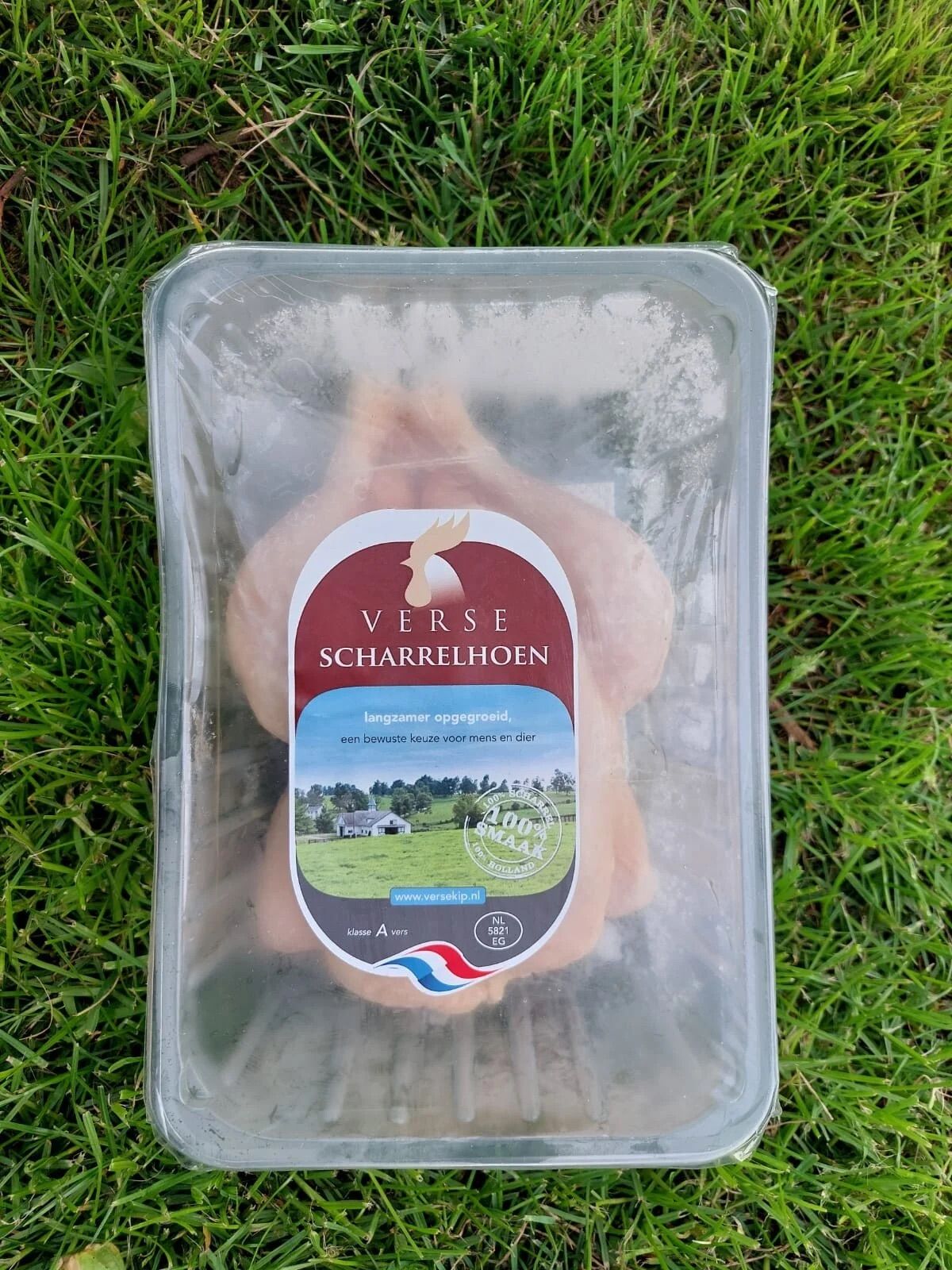 Hele Kip op Schaal ≈ 1.2 KG_0