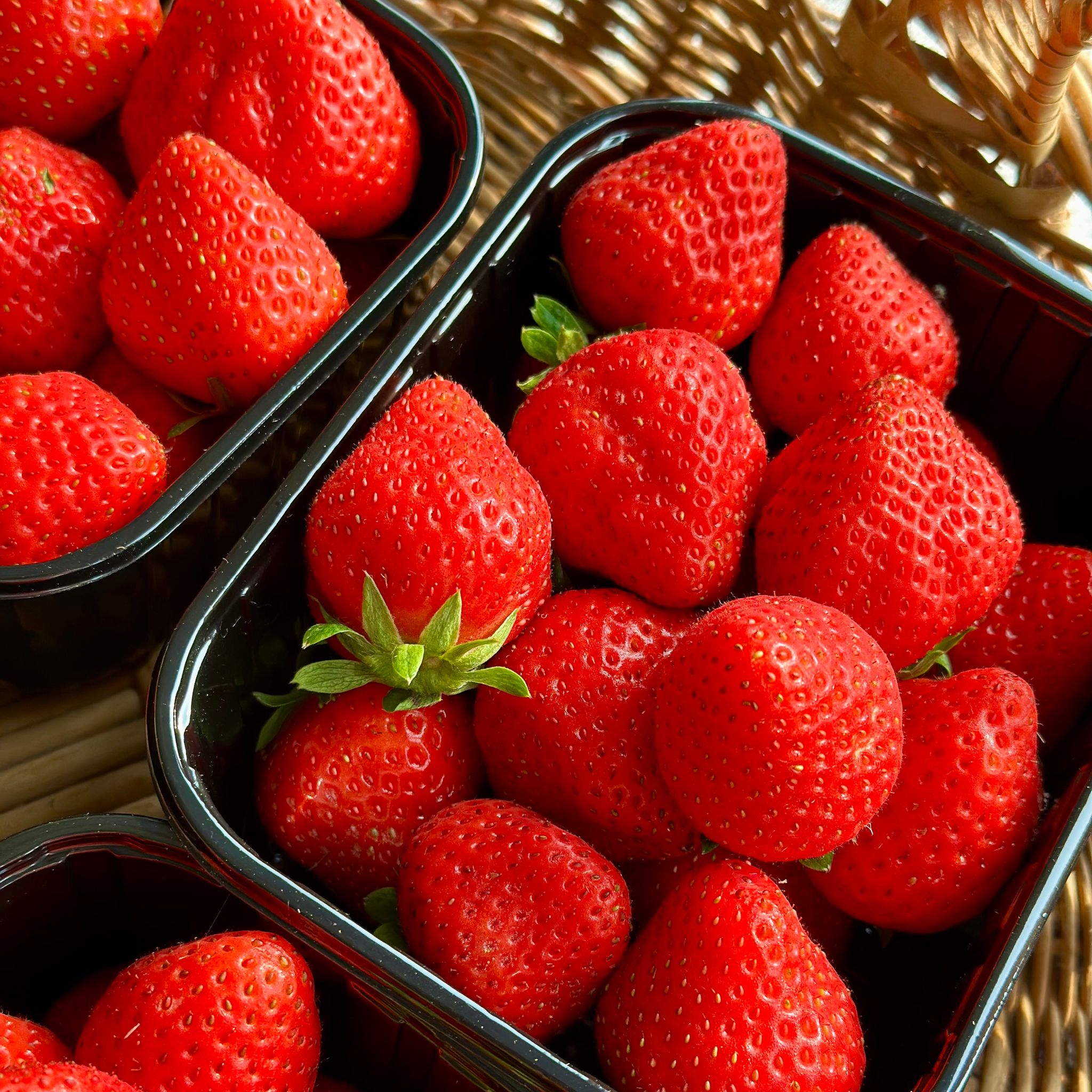 Aardbeien_1