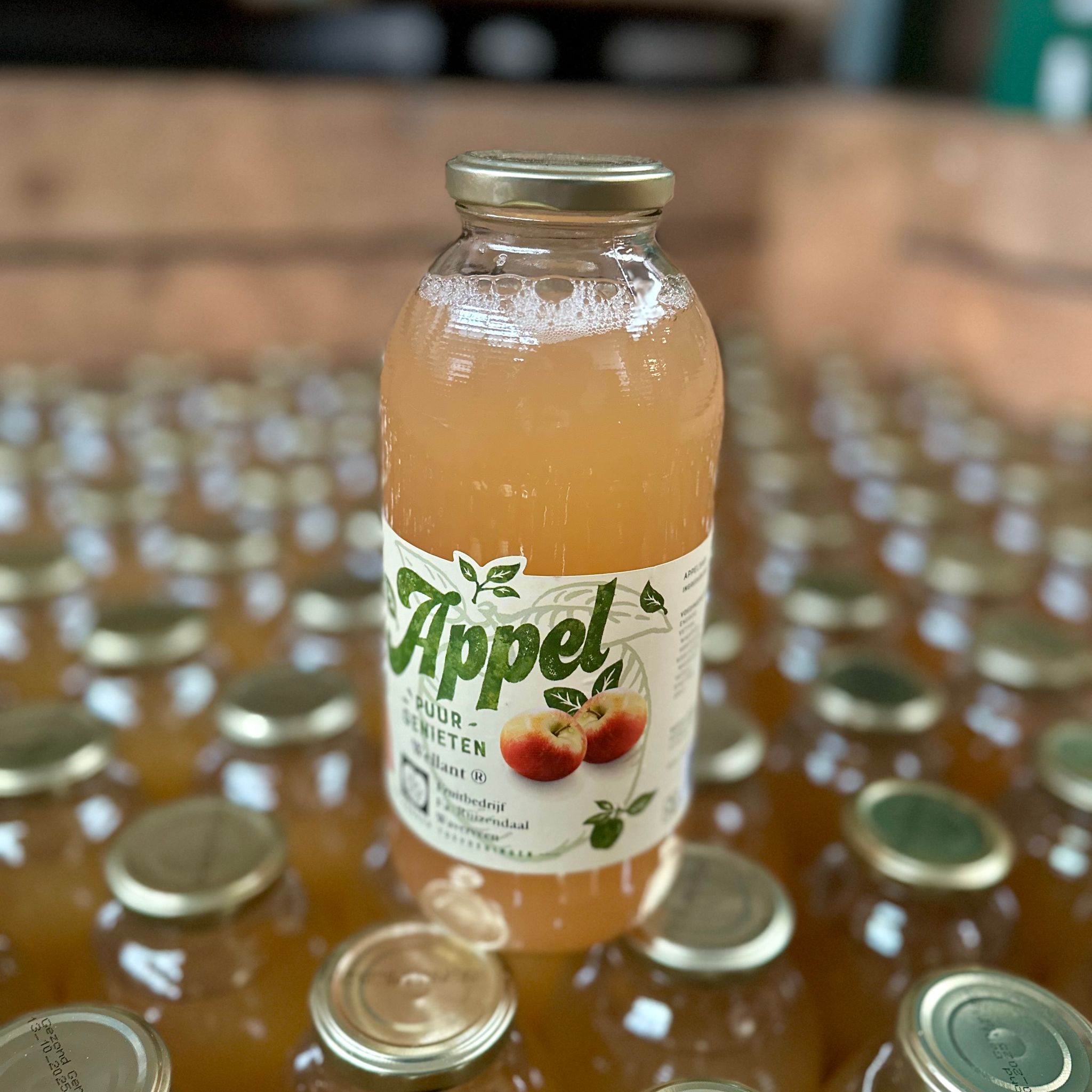 Appelsap van Wellant appel 1L_1