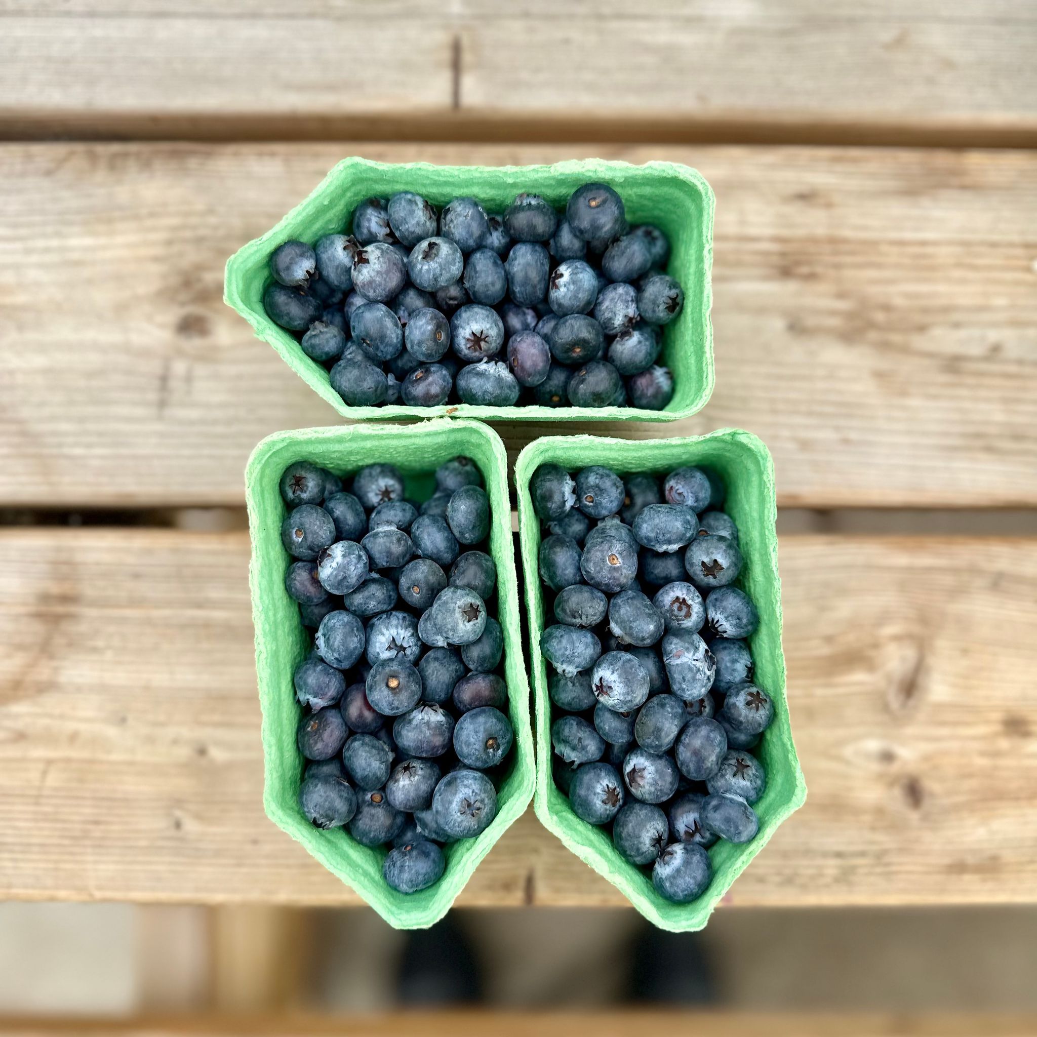 Blauwe bessen doosje 150GR_2