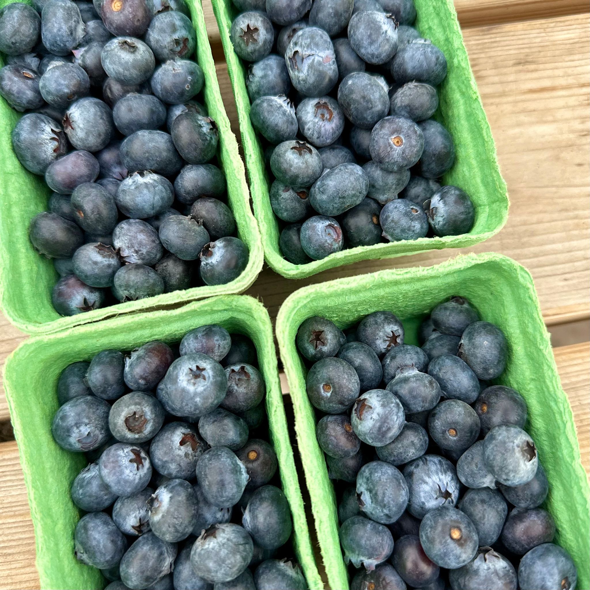 Blauwe bessen doosje 150GR_1