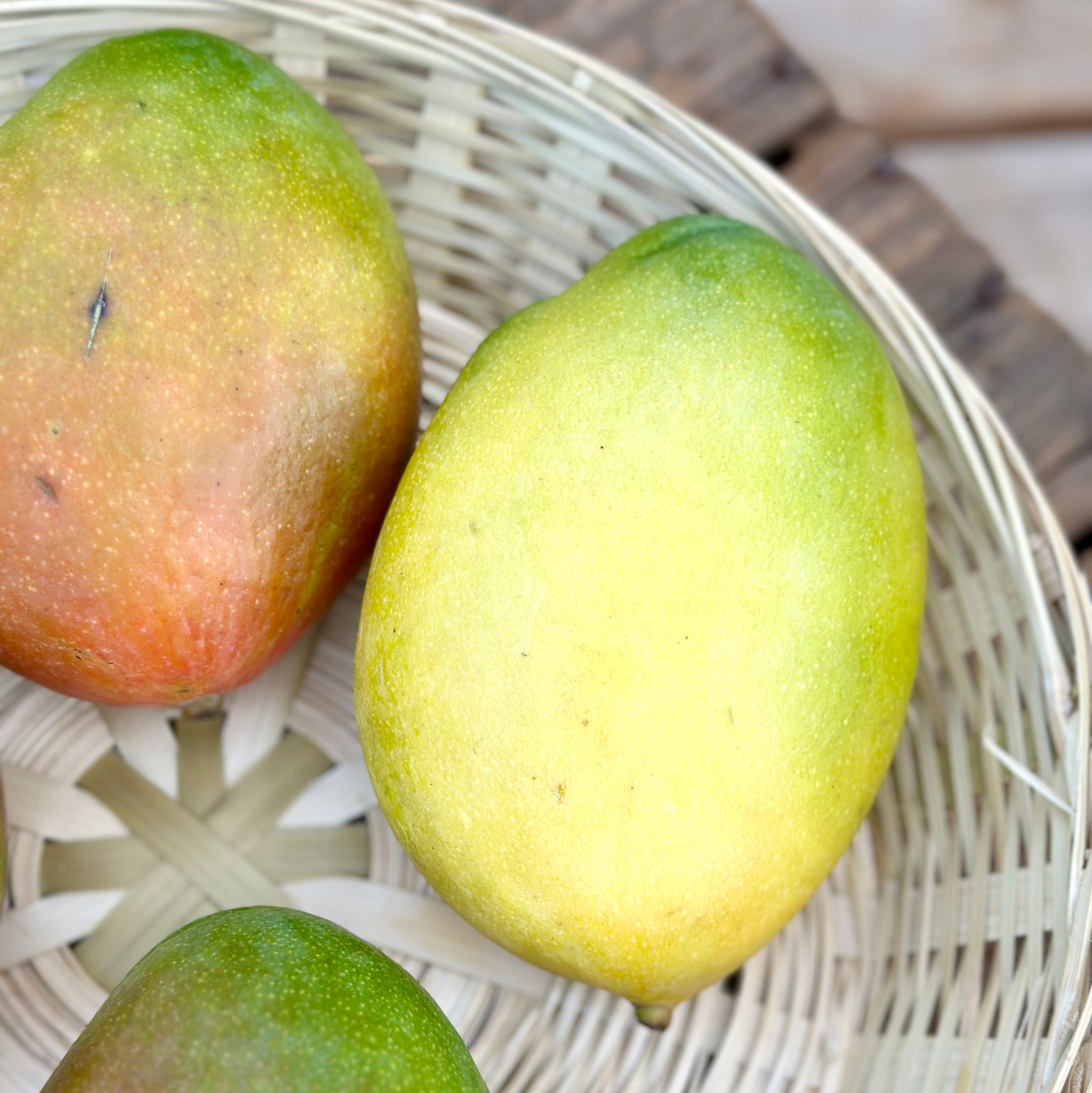 Mango Bio_0