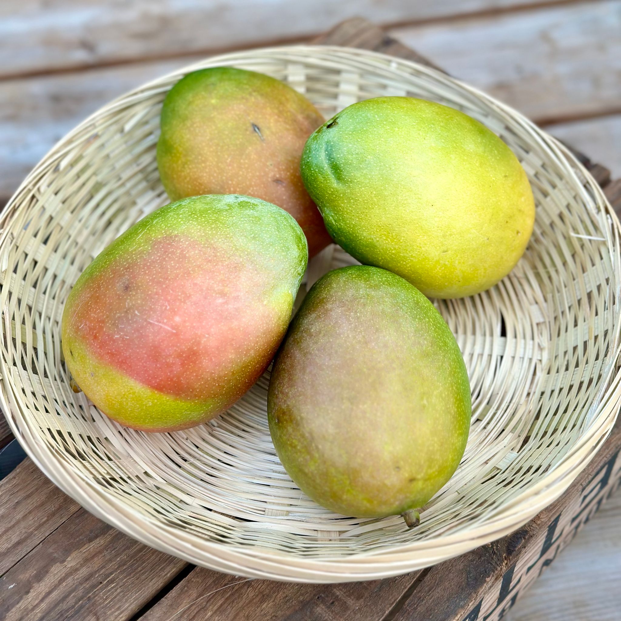 Mango Bio_1