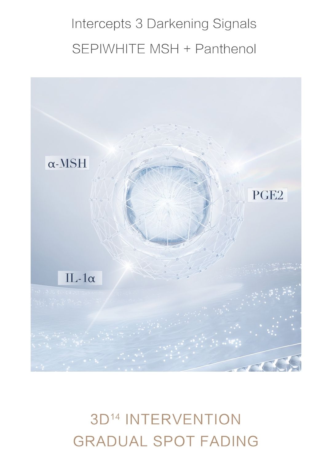 WHITENING DARK SPOT FADING ESSENCE_7