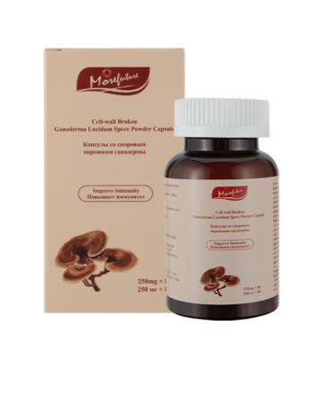 Le Ganoderma lucidum_2