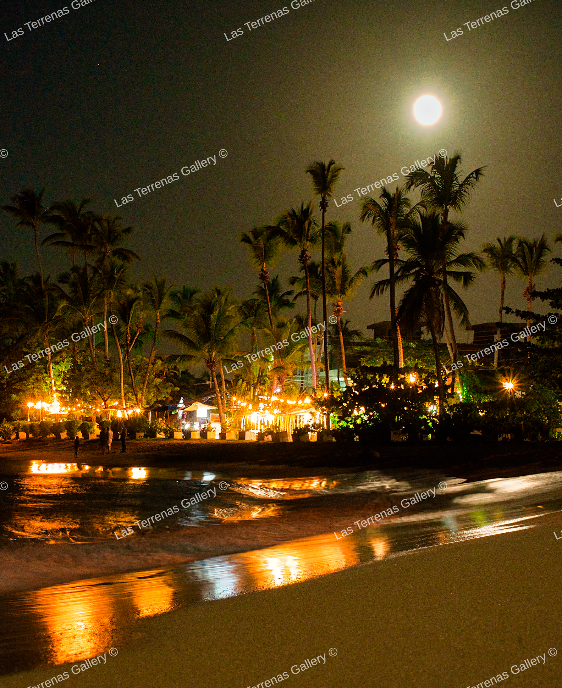 Playa Poppy 2650_0