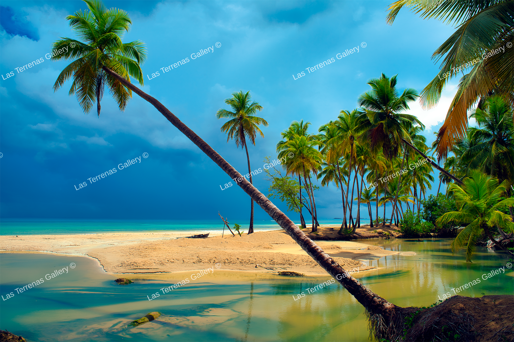 Playa Cosón Los Dos Rios 376_0