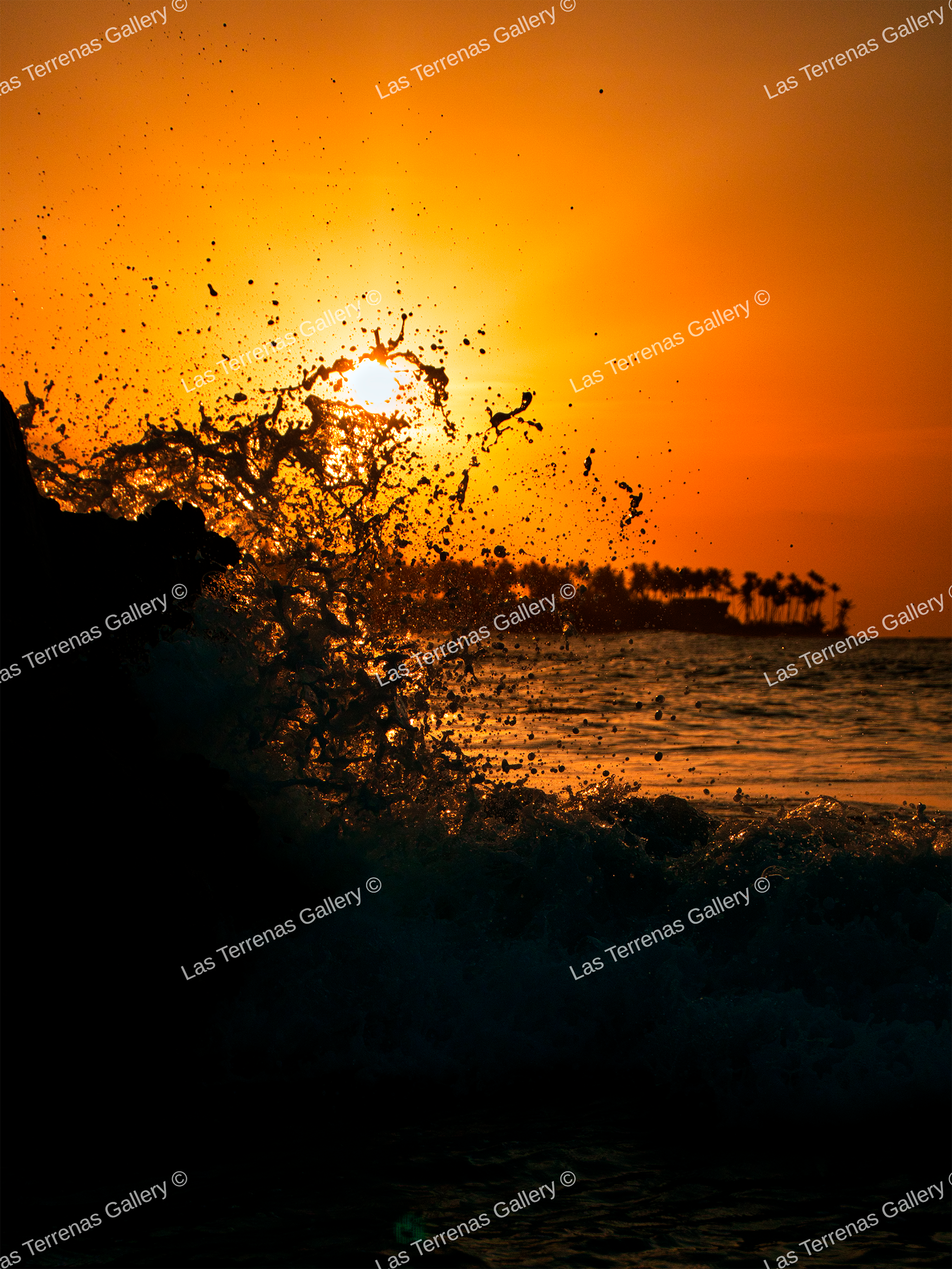 Playa Bonita 2285_0